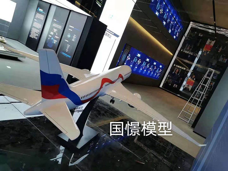 湘潭飞机模型